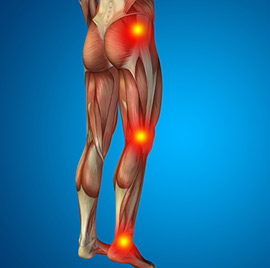 Muscle Activation Movements