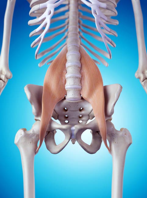 Cơ Psoas